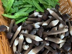 -纪林菜馆·博山菜老字号(华光路店)