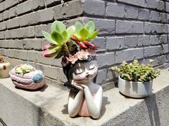 -庐灶江南·江南菜·四合院Bistro(东直门雍和宫·原华侨宾馆店)