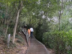 -上海佘山国家森林公园西佘山园