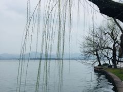 -星巴克(西湖天地店)