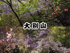 -皖西大裂谷