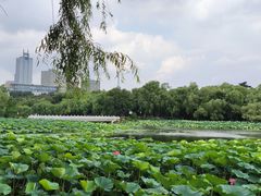 -长春市南湖公园