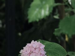 -Carmen卡门西班牙餐厅