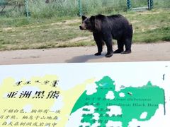 -鄂尔多斯野生动物园