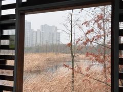 -昆山城市生态森林公园