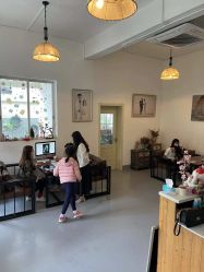 -菲林婚纱摄影工作室