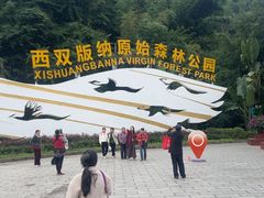 -西双版纳原始森林公园