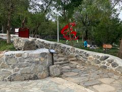 -阳台山自然风景区