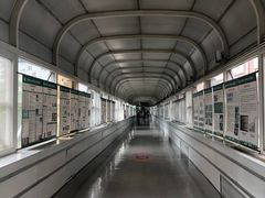 -首都医科大学附属北京友谊医院(西城院区)