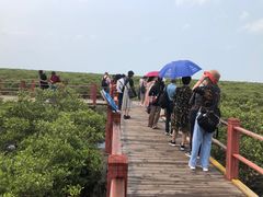 -北海金海湾红树林生态旅游区