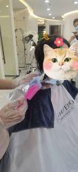 -松源造型