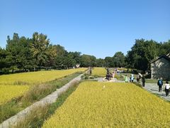 -北坞公园