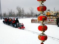 -绿野森林乐园冰雪季