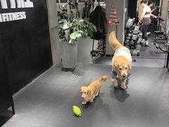 -每练有胜健身工作室(EFC店)