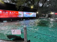 -天怡·鱼工厂(梅溪湖店)