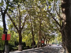 -棒棰岛宾馆景区