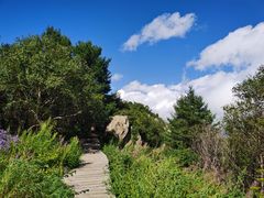 -白草畔自然风景区