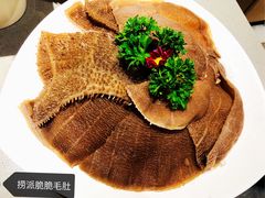 捞派脆脆毛肚-海底捞火锅(金光华店)