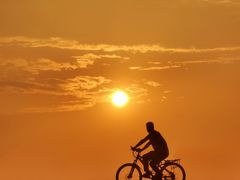 -瑶湖郊野森林公园