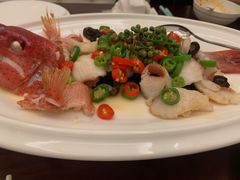 藤椒斑鱼-火璽·園
