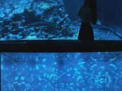 -江和美海洋公园