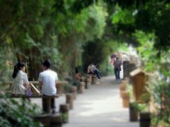 android_upload_pic-成都市活水公园