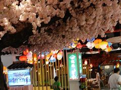 -渝厨生态火锅(合川区府店)