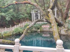 -蝴蝶泉公园
