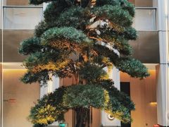 -外滩·云南人家(昆明旗舰店)