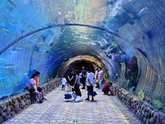 -华夏文旅海洋公园