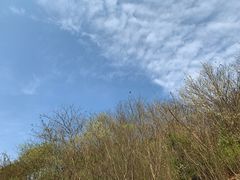 -南京市无想山景区