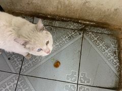 -南湖胖子砂锅(五福街店)