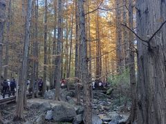 -国家植物园南园