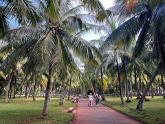 -白沙门生态公园