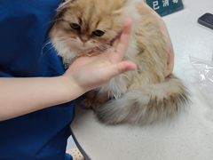 -联合动物医院(光谷诊疗中心)