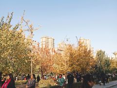 -辽宁大学(崇山校区)