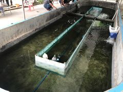 -小象钓虾·营地烧烤(洛溪店)