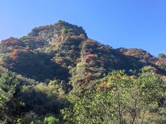 -秦岭终南山世界地质公园翠华山景区