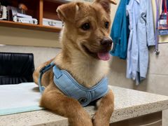 -动物缘宠物医院·骨科·猫科(西二环店)