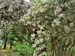 -国家植物园南园