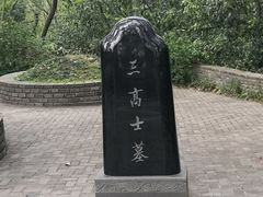 -上海佘山国家森林公园天马山园