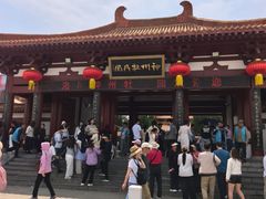-神州牡丹园