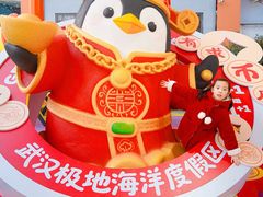 -海合安武汉极地海洋公园