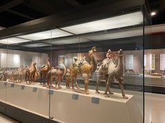 -西安大唐西市博物馆