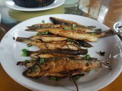 山坑鱼-河边农庄