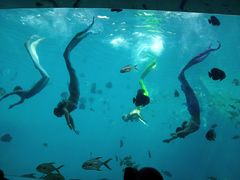 -瑞德姆美人鱼海底演艺主题餐厅(亚龙湾店)