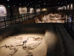 -洛阳周王城天子驾六博物馆