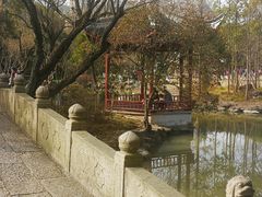-瀛洲公园
