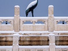 -故宫博物院(故宫)