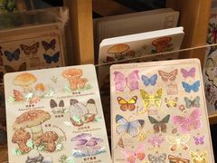 -猫的天空之城概念书店(杭州南宋御街店)